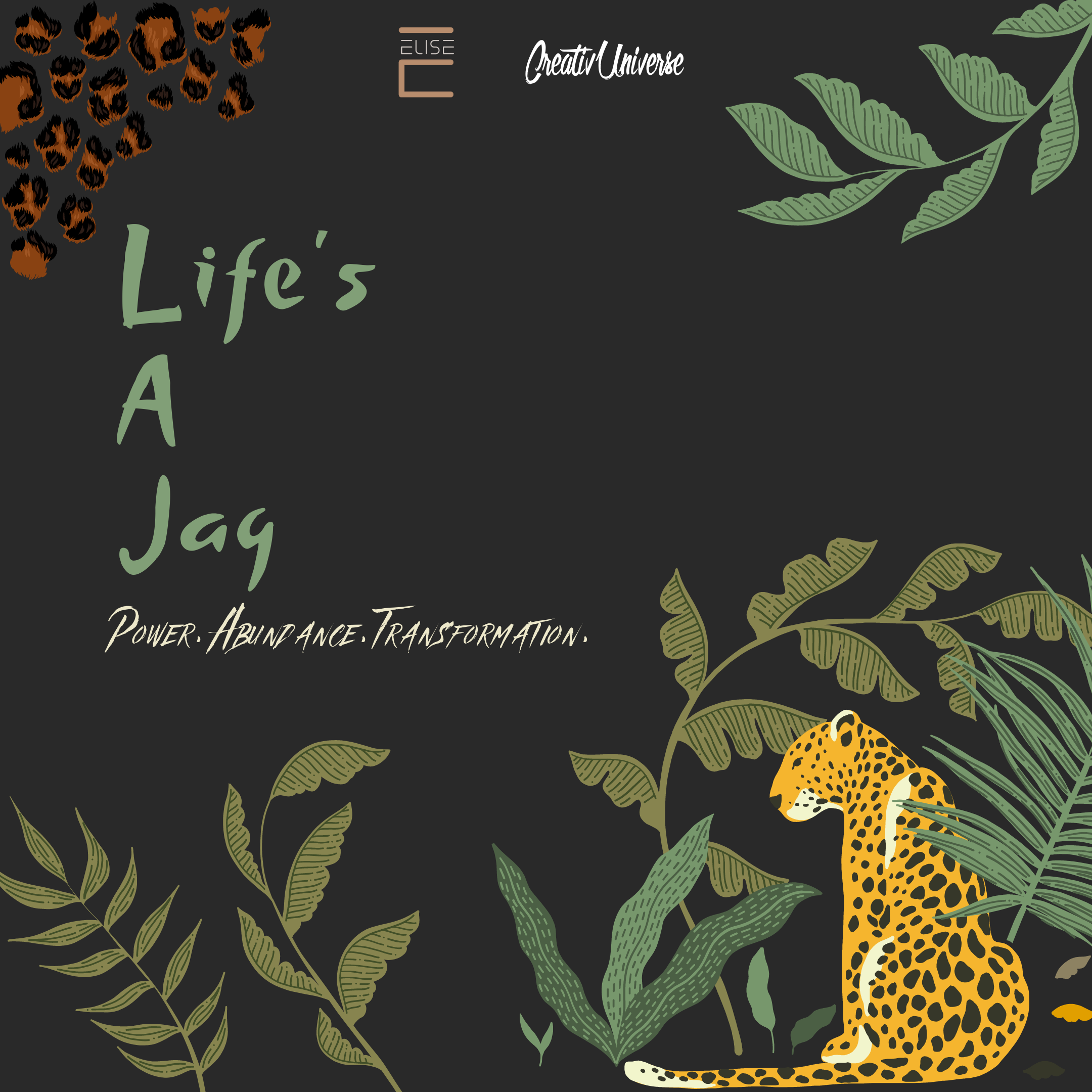 The Jaguar Collection