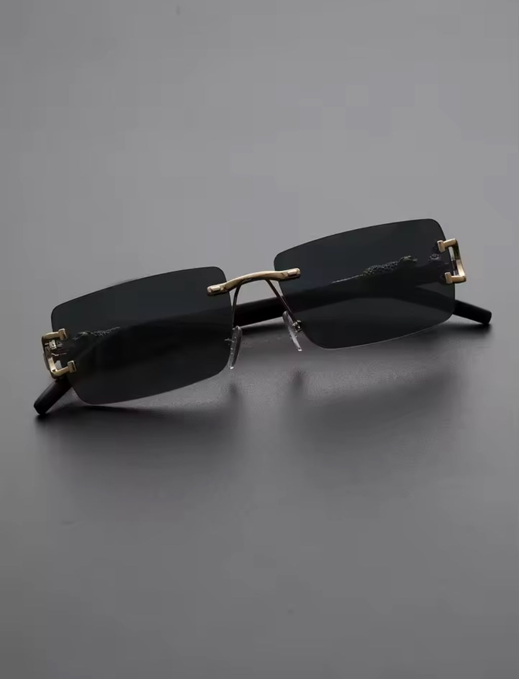 "In The Jungle" Frames